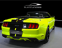 Ford Mustang Cabrio 5.0l 
